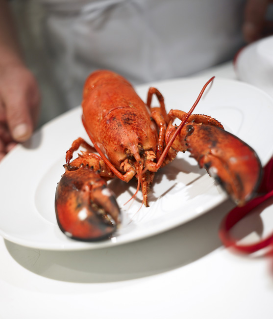 A la carte Tuerkisch-005595