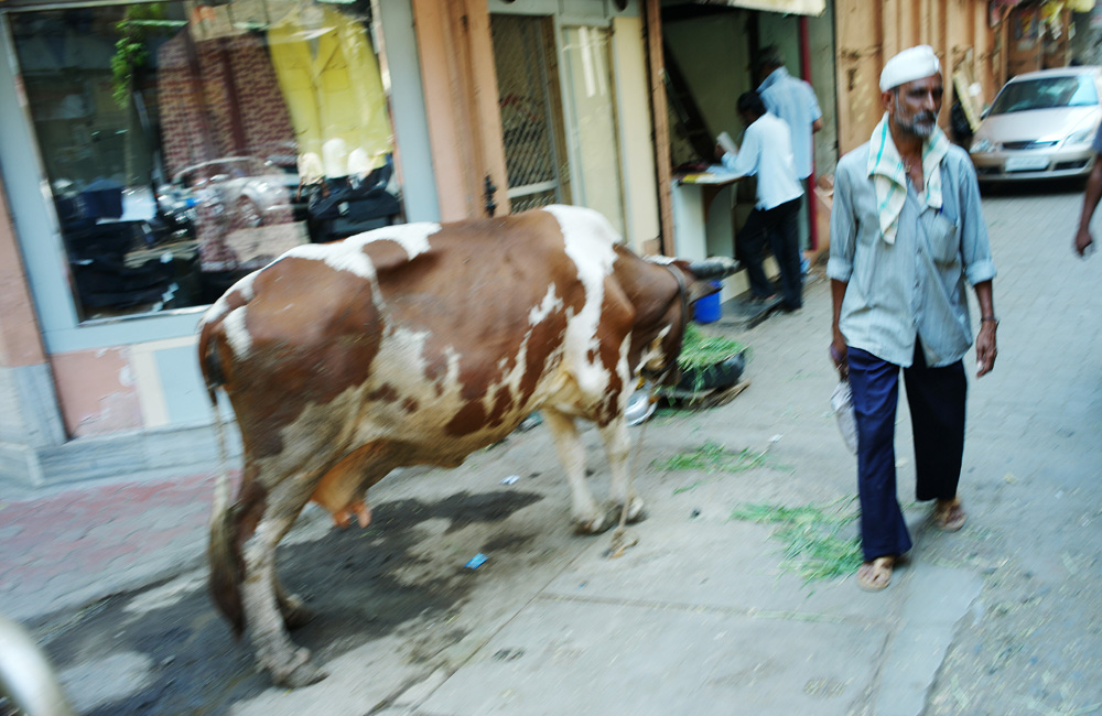 INDIA / MUMBAI / Report about the DABBAWALLA / MARCH 2011©Philipp Horak